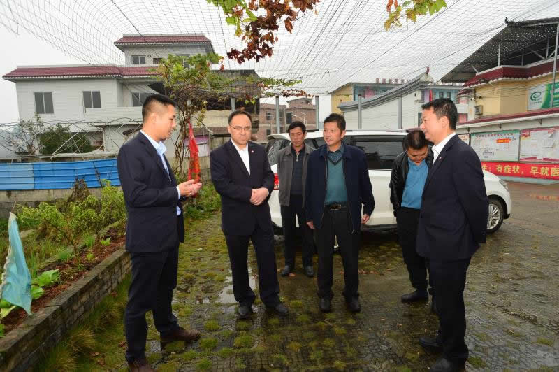 nangong28·(中国区)官方网站