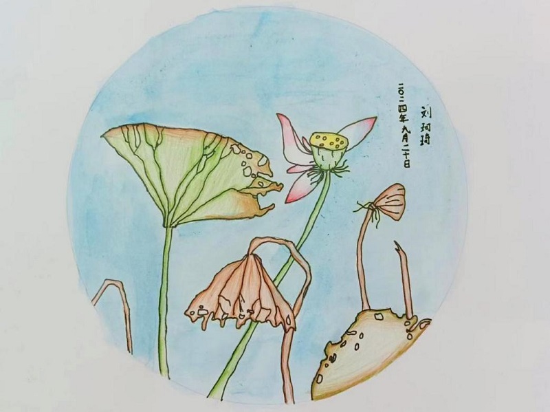 nangong28·(中国区)官方网站